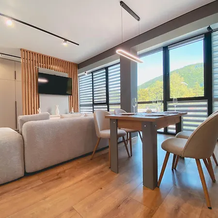 Apartment Premium By Sunyogora Yaremche